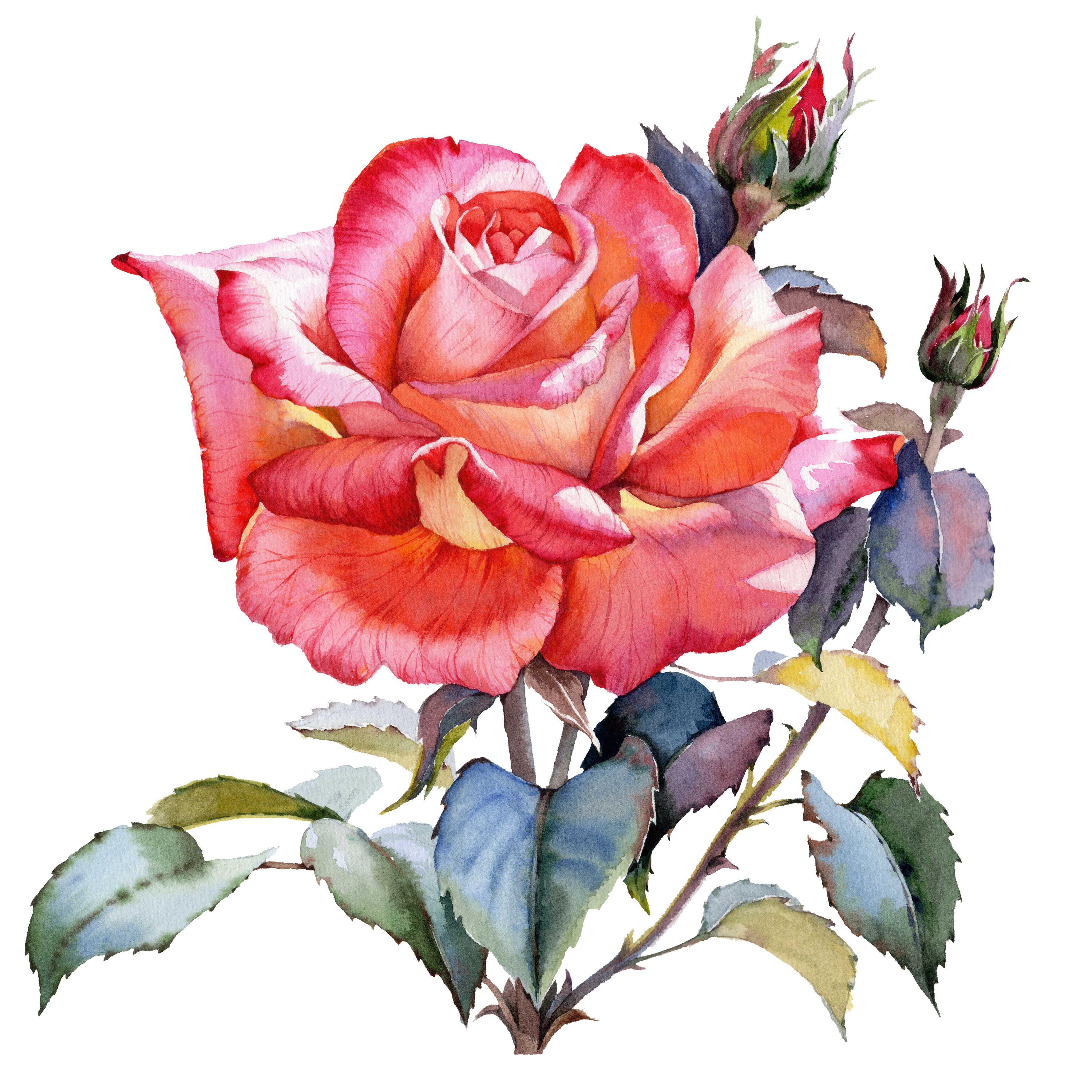 Personalisierte Diamond Painting Bilder
