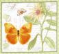 Preview: Butterfly Botanical 01