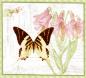 Preview: Butterfly Botanical 01