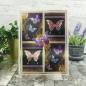 Preview: Topper Deck Midnight Butterflies