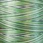 Preview: Isacord 40 Multi 9805 Shades of Grass Stickgarn