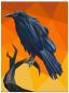 Mobile Preview: Legit Kits Edgar the Raven - Nähanleitung