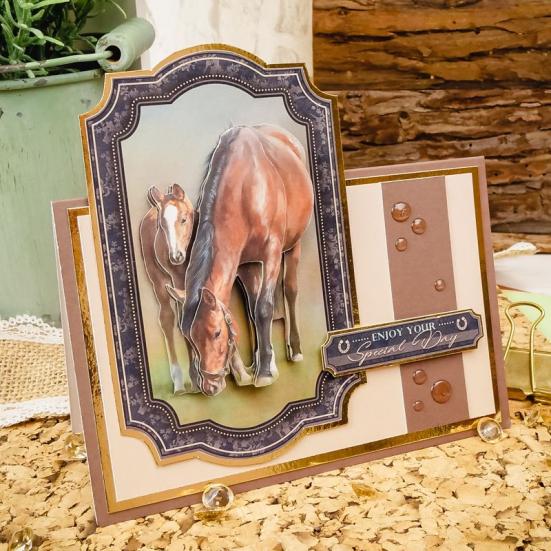 Hunkydory Decoupage Book Volume 14 Horse & Country