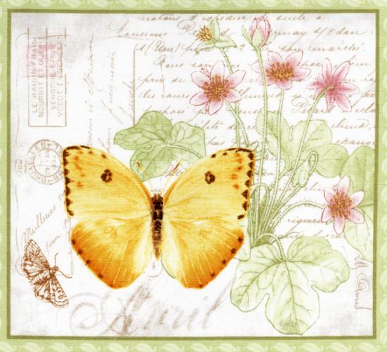 Butterfly Botanical 01
