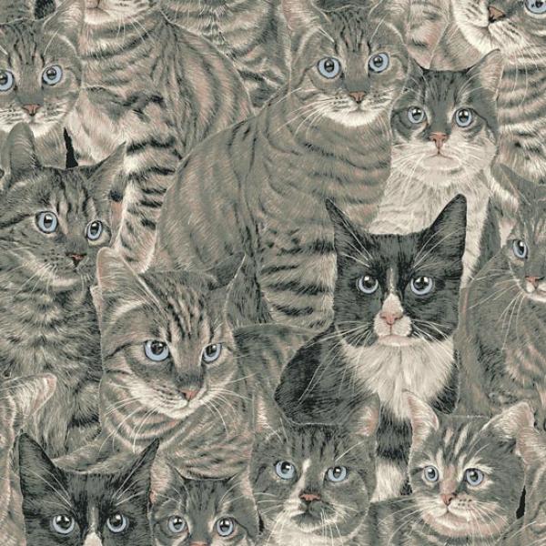 Patchworkstoff Rest 45cm Cats the Way 06