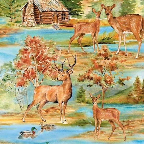 Deer Meadow 05